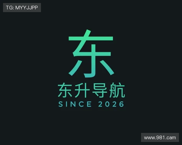 剖析东升导航